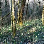 Pensión Au Combe De Canet