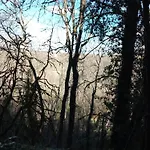 Pensión Au Combe De Canet 3*