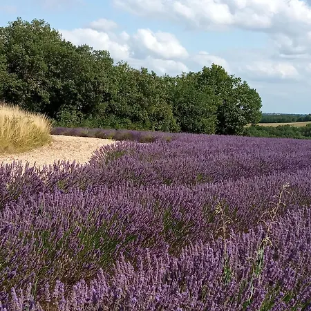 Au Combe De Canet ゲストハウス