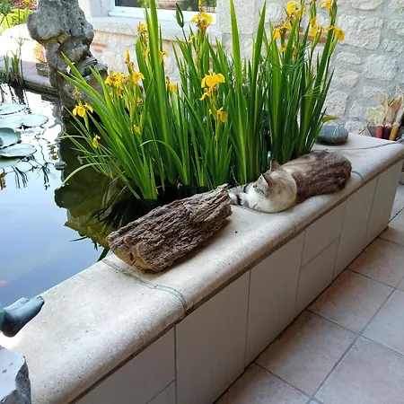 Au Combe De Canet 3* Anthé