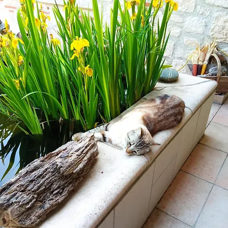 Au Combe De Canet 3*