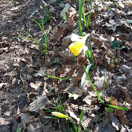 Pensjonat Au Combe De Canet