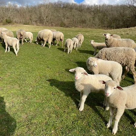 Au Combe De Canet 3*