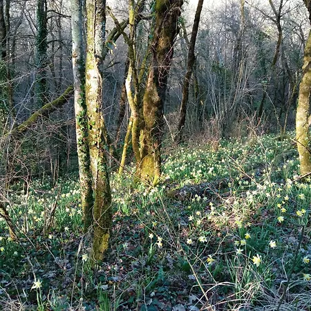 Vendégház Au Combe De Canet