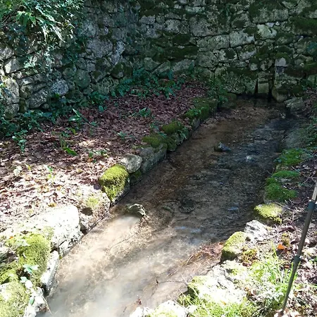 Au Combe De Canet Pensjonat *