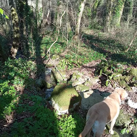 Au Combe De Canet 招待所 Anthé