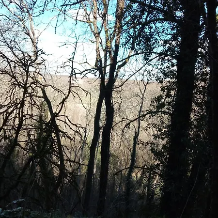 招待所 Au Combe De Canet 3*