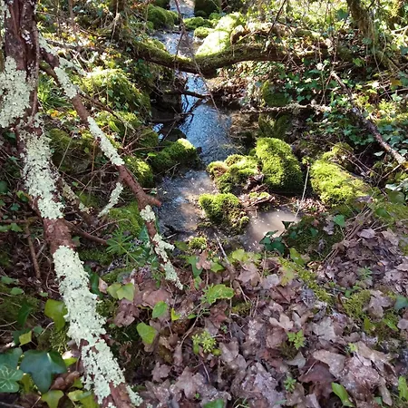Au Combe De Canet Vendégház