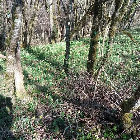 招待所 Au Combe De Canet