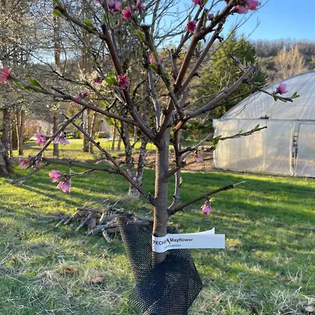 Au Combe De Canet ゲストハウス