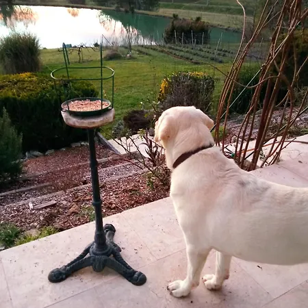 Au Combe De Canet ゲストハウス 3*