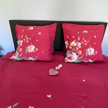 Au Combe De Canet Anthé