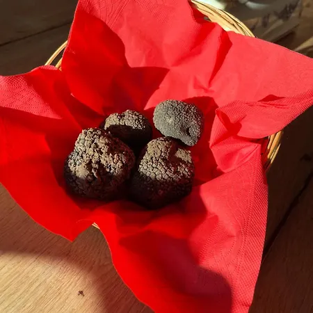 ゲストハウス Au Combe De Canet