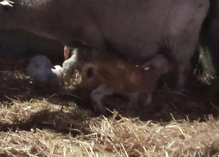 Au Combe De Canet 3* Anthé