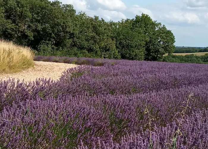 Au Combe De Canet Penzion
