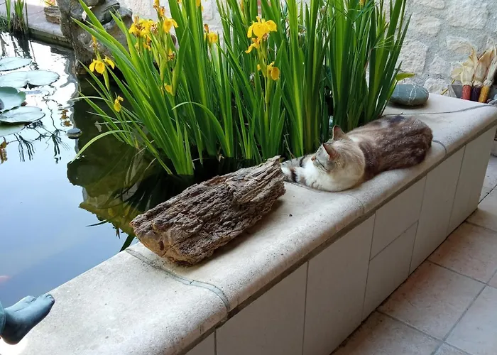 Au Combe De Canet 3* Anthé