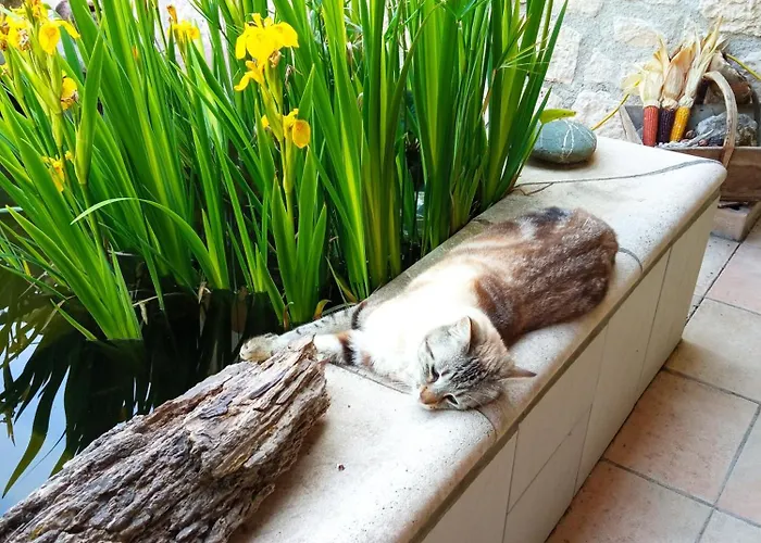 Au Combe De Canet 3*