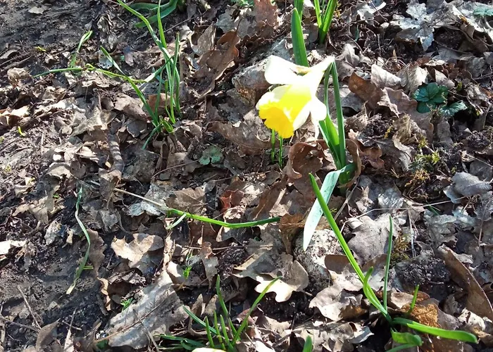 Pensionat Au Combe De Canet