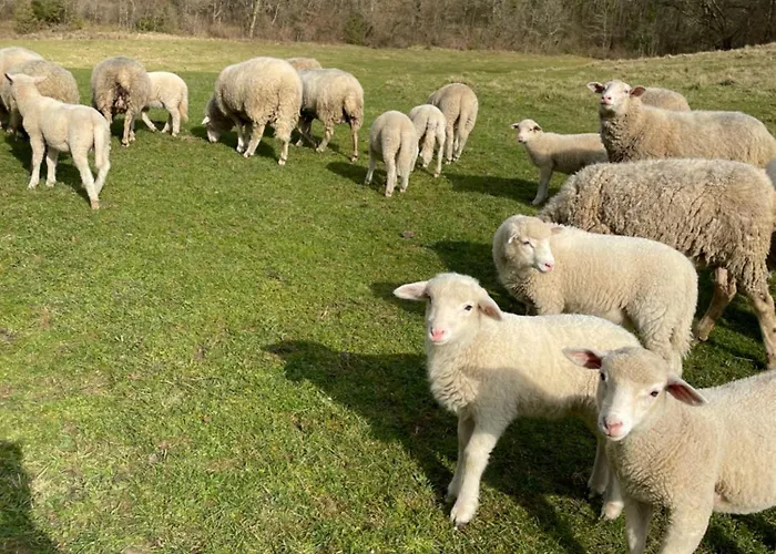 Au Combe De Canet 3*