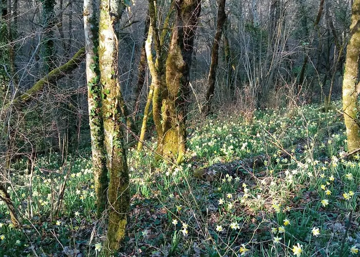 Pensionat Au Combe De Canet