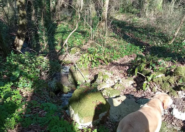 Au Combe De Canet Penzion Anthé