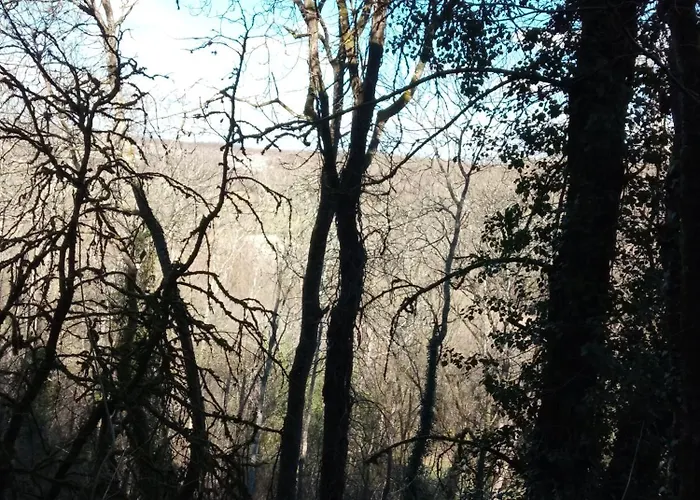 Pensionat Au Combe De Canet 3*