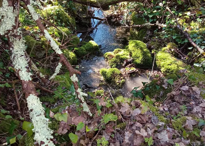 Au Combe De Canet Penzion