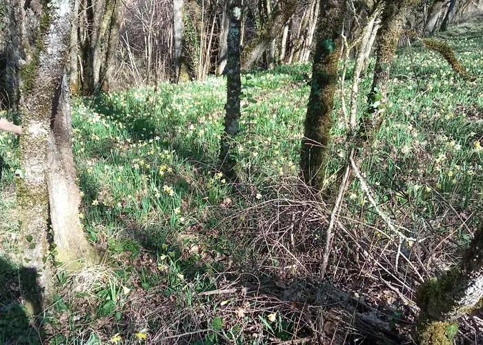 Pensionat Au Combe De Canet