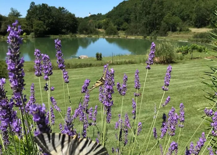 Au Combe De Canet Pensionat 3*