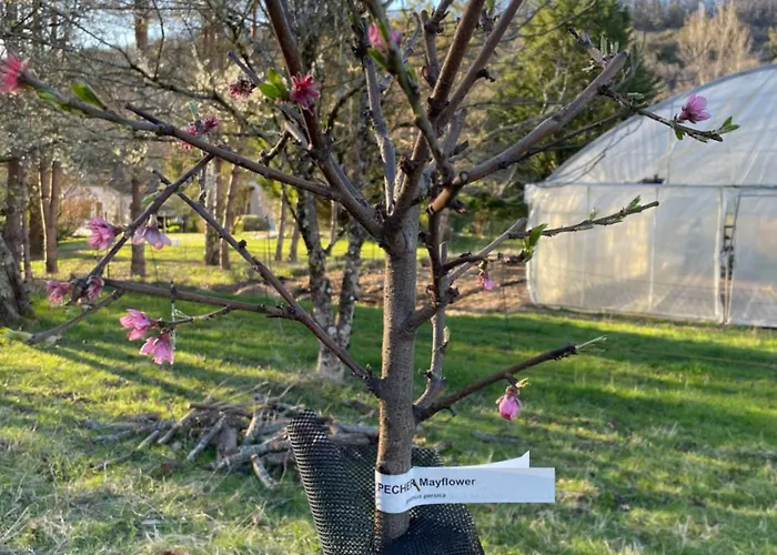 Au Combe De Canet Pensionat