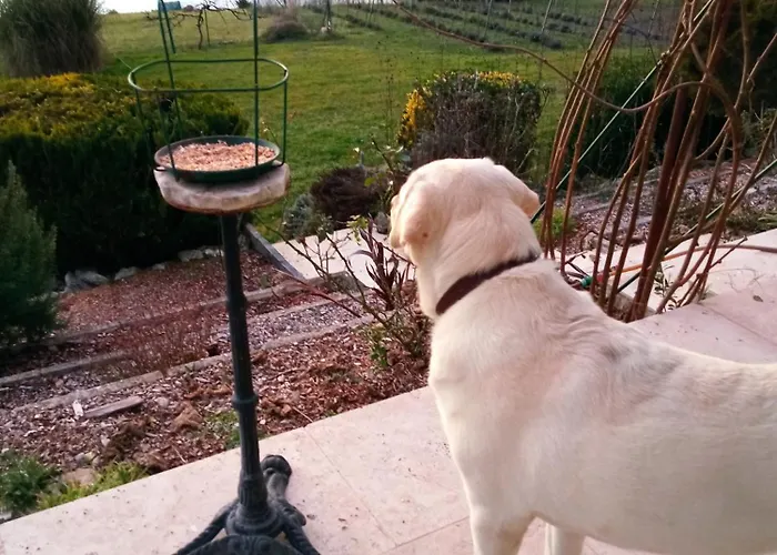 Au Combe De Canet Pensionat 3*