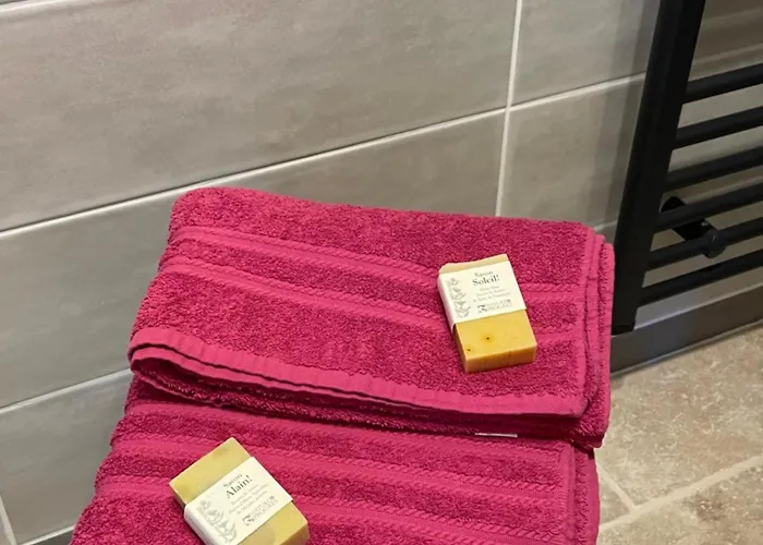 Au Combe De Canet 3* Anthé