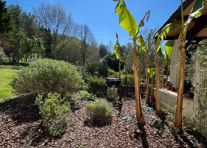 Au Combe De Canet Anthé